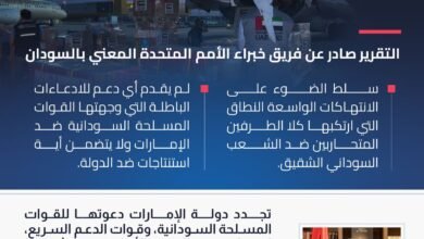 تقرير مجلس الأمن يدحض مزاعم الجيش السوداني.. والبعثة الدائمة للإمارات تصدر بياناً