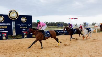 الجواد "نافح" بطلا لكأس رئيس الدولة للخيول العربية في تونس