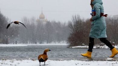 عاصفة ثلجية مفاجئة تضرب موسكو