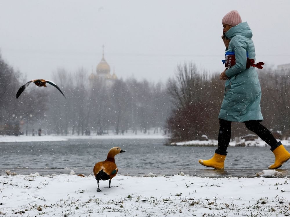 عاصفة ثلجية مفاجئة تضرب موسكو