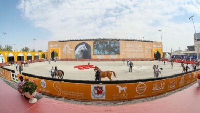 تألق مربط دبي في افتتاح مهرجان الشارقة الدولي للجواد العربي الـ 26