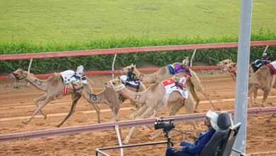 انطلاق سباق سن الفاطمين في ميدان الذيد