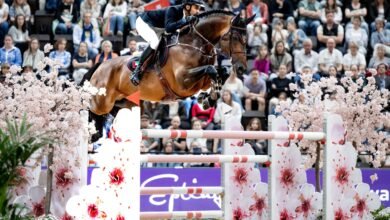 الفارس المرزوقي يختتم مشاركته الناجحة بمونديال قفز الحواجز