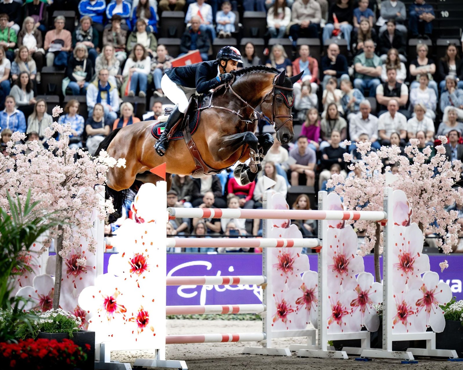 الفارس المرزوقي يختتم مشاركته الناجحة بمونديال قفز الحواجز 1 الفارس المرزوقي يختتم مشاركته الناجحة بمونديال قفز الحواجز