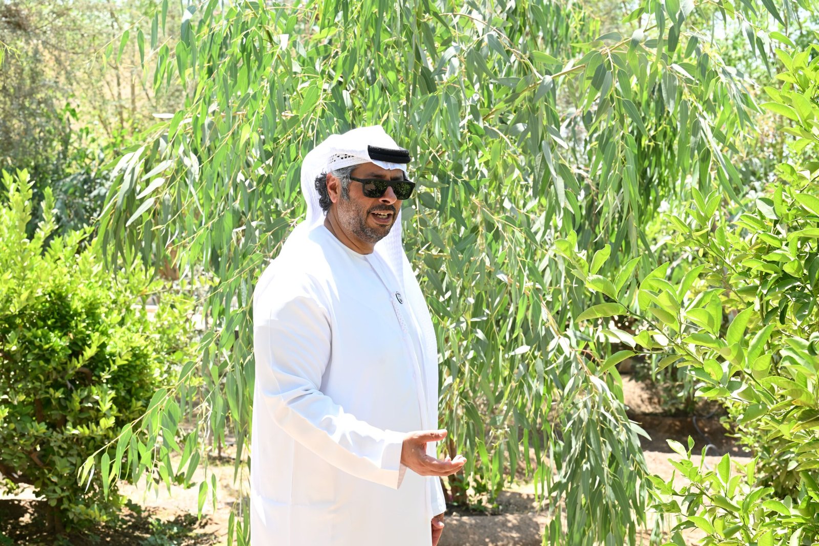 مزارع العين