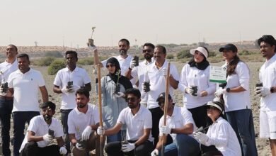 مجموعة الإمارات للبيئة تحتفي بيوم الأرض بغرس 1200 شجرة منغروف في أم القيوين