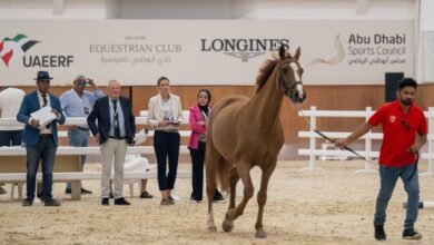 13 منافسة دولية في كأس رئيس الدولة لقفز الحواجز