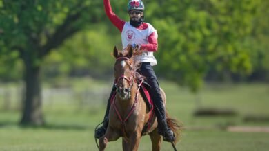 فرسان الإمارات يتألقون في رويال وندسور وسيف المزروعي يحرز لقب سباق الـ 160كم