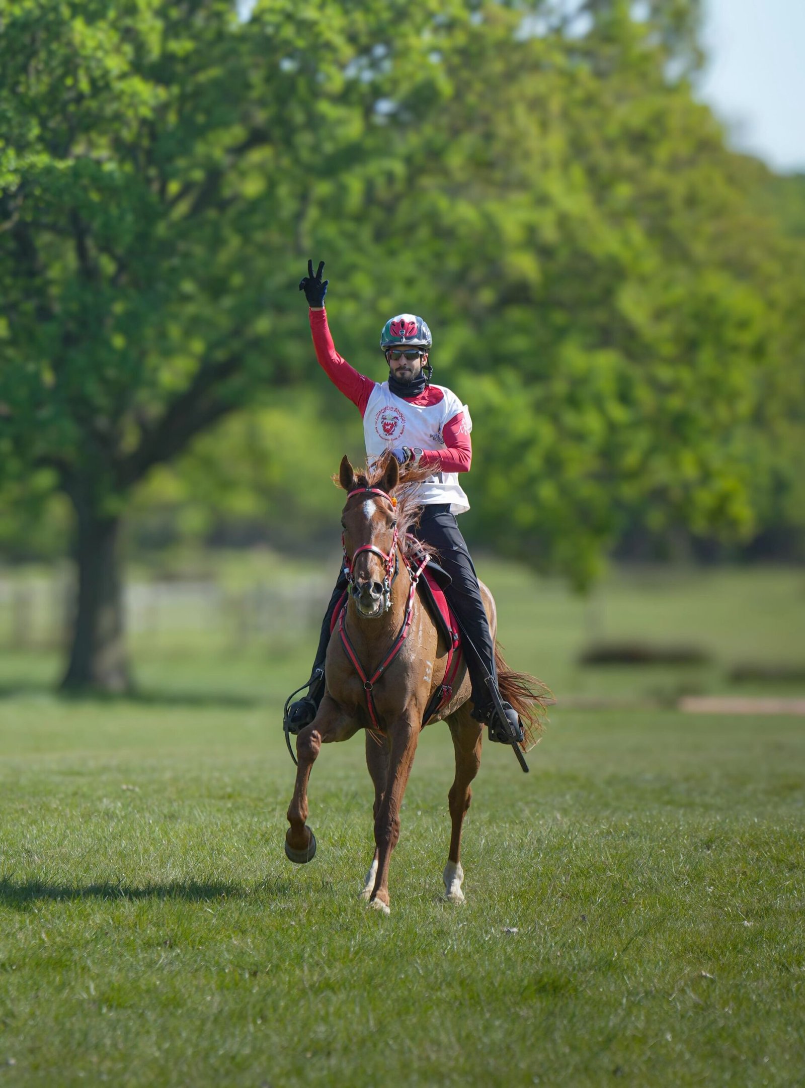 فرسان الإمارات يتألقون في رويال وندسور وسيف المزروعي يحرز لقب سباق الـ 160كم