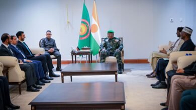 شخبوط بن نهيان يلتقي رئيس النيجر