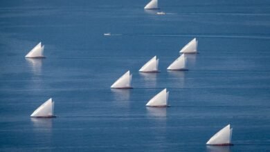 مهرجان دلما التاريخي.. لمسة وفاء لتراث الآباء والأجداد