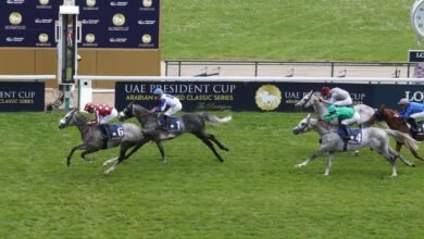 بدعم منصور بن زايد: كأس رئيس الدولة للخيول العربية ينطلق غداً في باريس بأولى محطاته الأوروبية