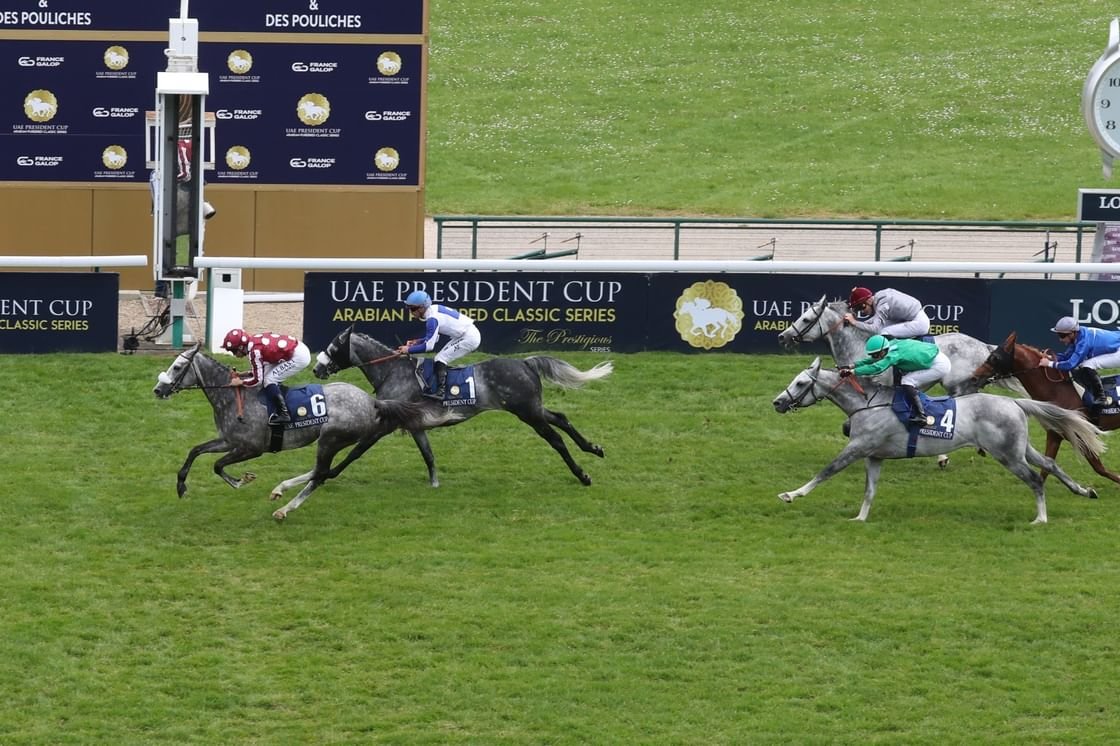 بدعم منصور بن زايد: كأس رئيس الدولة للخيول العربية ينطلق غداً في باريس بأولى محطاته الأوروبية