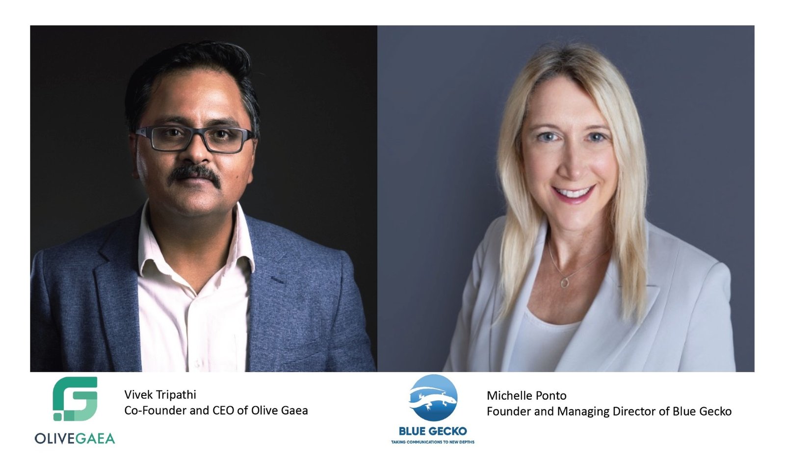 أوليف جايا وبلو جيكو تبرمان