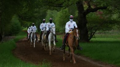 فريق الإمارات يشارك بـ31 فارسا في بطولة رويال وندسور للقدرة