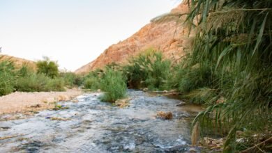بين الجفاف والتعديات الاستعمارية.. مواطنو الأغوار يحرمون من مياه العوجا