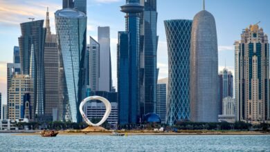 مجال اقتصاد المعرفة