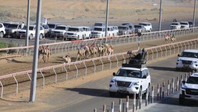 تواصل سباق "سن الفطامين" بميدان الذيد لسباقات الهجن