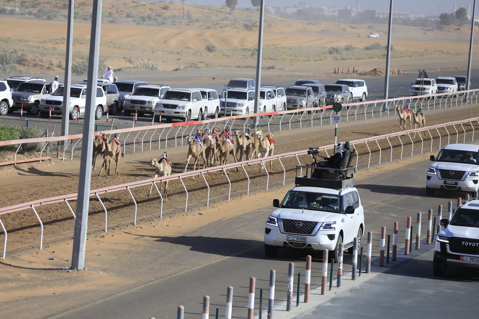 تواصل سباق "سن الفطامين" بميدان الذيد لسباقات الهجن