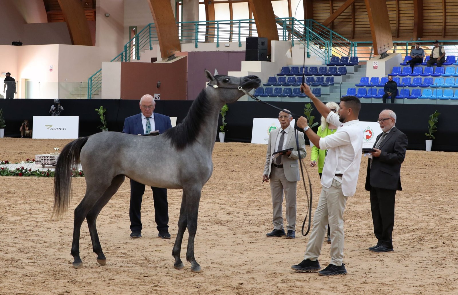 منافسات قوية في اليوم الأول لكأس الإمارات العالمي لجمال الخيل العربية بالمغرب 1 منافسات قوية في اليوم الأول لكأس الإمارات العالمي لجمال الخيل العربية بالمغرب