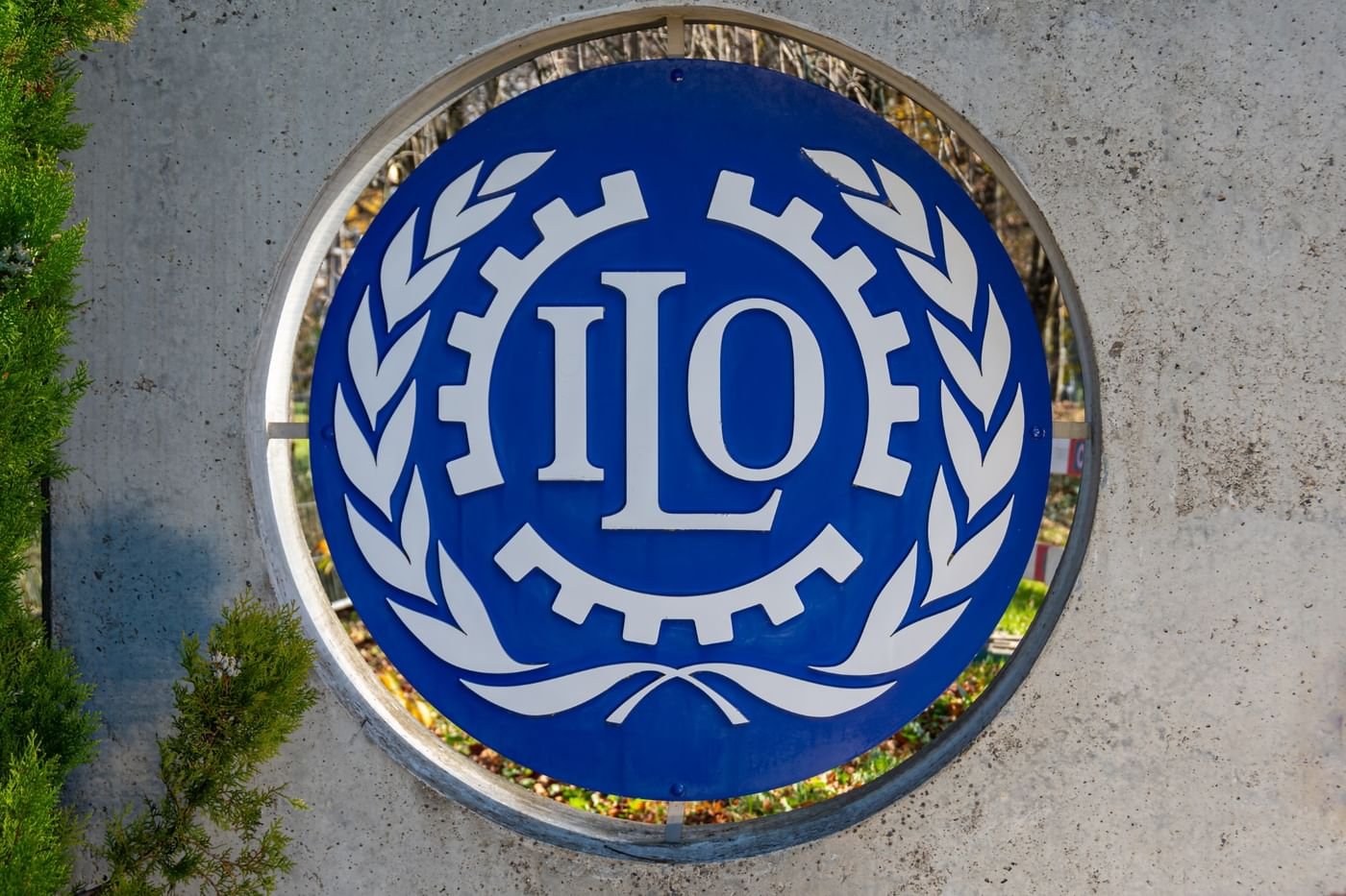 "العمل الدولية" تخفض توقعات التوظيف العالمية بنحو 7 ملايين وظيفة في 2025