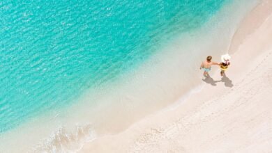 "السعديات" تحتفي باليوم العالمي للمتاحف ببرنامج ثقافي متنوع