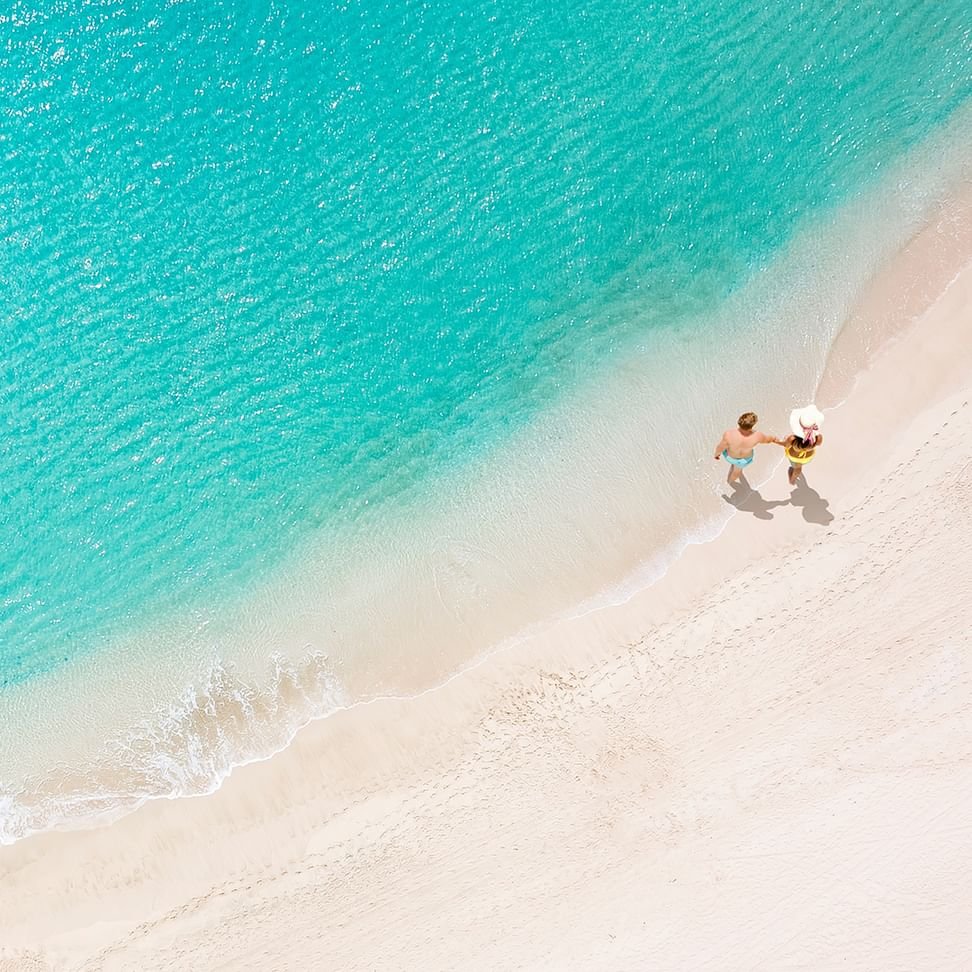 "السعديات" تحتفي باليوم العالمي للمتاحف ببرنامج ثقافي متنوع