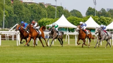 بدعم منصور بن زايد.. كأس رئيس الدولة للخيول العربية ينطلق في روما