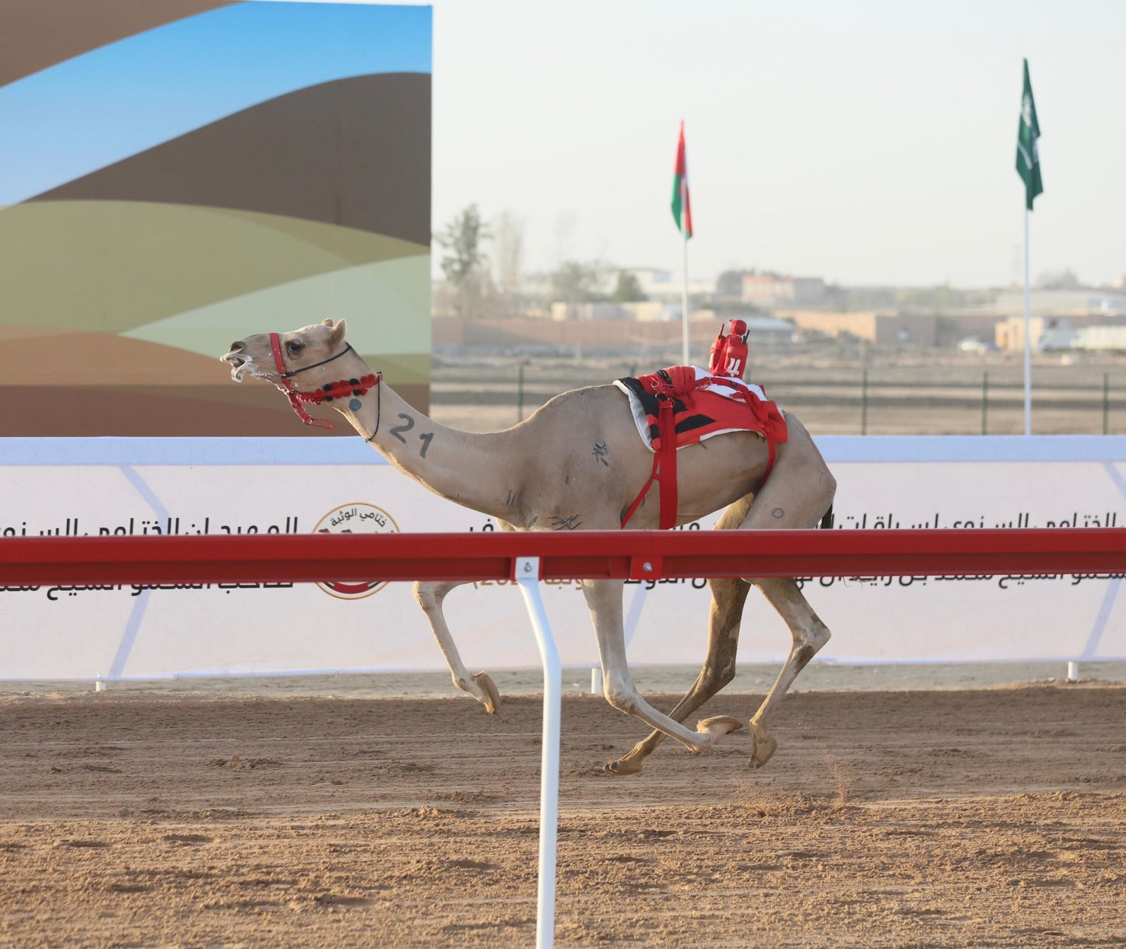 هجن الرئاسة تهيمن على تحديات الحول والزمول في اليوم التاسع من ختامي الوثبة 2025