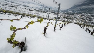 قتيلان وخمسة مصابين جراء انهيار ثلجي في جبل إيجر السويسري