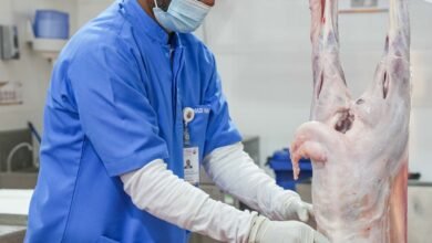 منطقة الظفرة تؤكد جاهزية مسالخها لعيد الأضحى المبارك