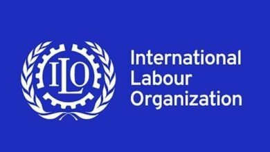 منظمة العمل الدولية: وظيفة من بين كل 4 وظائف معرضة لخطر التحول بفعل الذكاء الاصطناعى