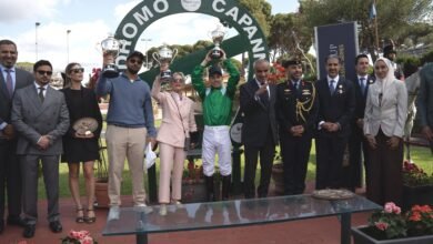 انتصار إماراتي في روما.. الجواد "اتش ام الشاهين" يحلق بكأس رئيس الدولة للخيول العربية في إيطاليا