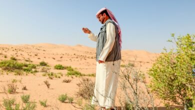 "البيئة - أبوظبي" تستكمل نثر 6.5 مليون بذرة محلية لتعزيز الغطاء النباتي في المحميات الطبيعية