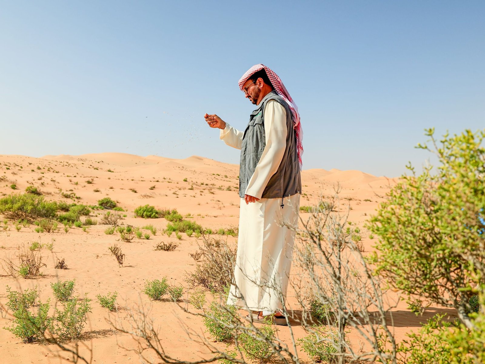 "البيئة - أبوظبي" تستكمل نثر 6.5 مليون بذرة محلية لتعزيز الغطاء النباتي في المحميات الطبيعية