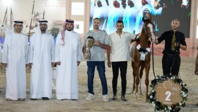 ختام منافسات النسخة الثانية من بطولة كأس الإمارات العالمي لجمال الخيول العربية بالبحرين