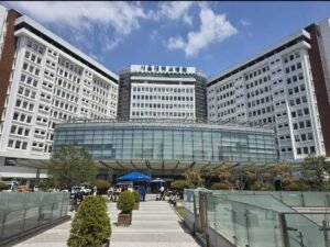 كوريا تحقق إنجازات بارزة في علاج الأورام وتتطلع للتعاون مع الإمارات