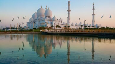 مركز جامع الشيخ زايد الكبير... منارة للتنوع الثقافي والانفتاح الحضاري