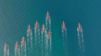 منافسات قوية في سباق دلما لقوارب التجديف التراثية وتتويج الفائزين