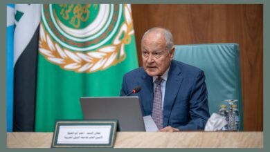 أبوالغيط: التنمية المستدامة ضرورة للبقاء وسلاح لبناء السلام في المنطقة العربية