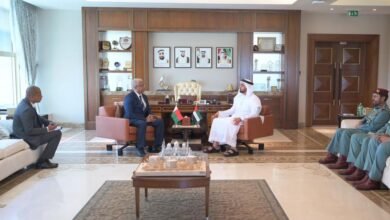 سيف بن زايد يلتقي وزير الأمن العام في مدغشقر