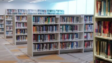 مكتبة الإمارات .. منصة وطنية تحتفي بإبداع الكتاب وتوثق الذاكرة الثقافية الإماراتية