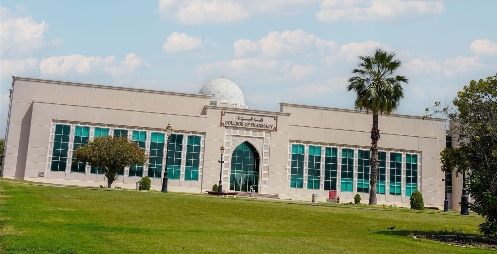 دراسة علمية حديثة : أدوية الستاتين للكوليسترول قد تعالج مرضى اللوكيميا