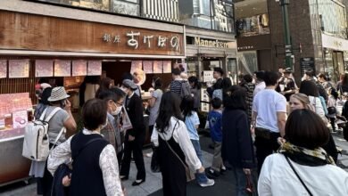 انخفاض إنفاق الأسرة اليابانية في السنة المالية 2024 وسط ارتفاع الأسعار