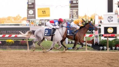 نخبة الخيول تتنافس غدا على لقب كأس رئيس الدولة في "بريكنس ستيكس" بأمريكا