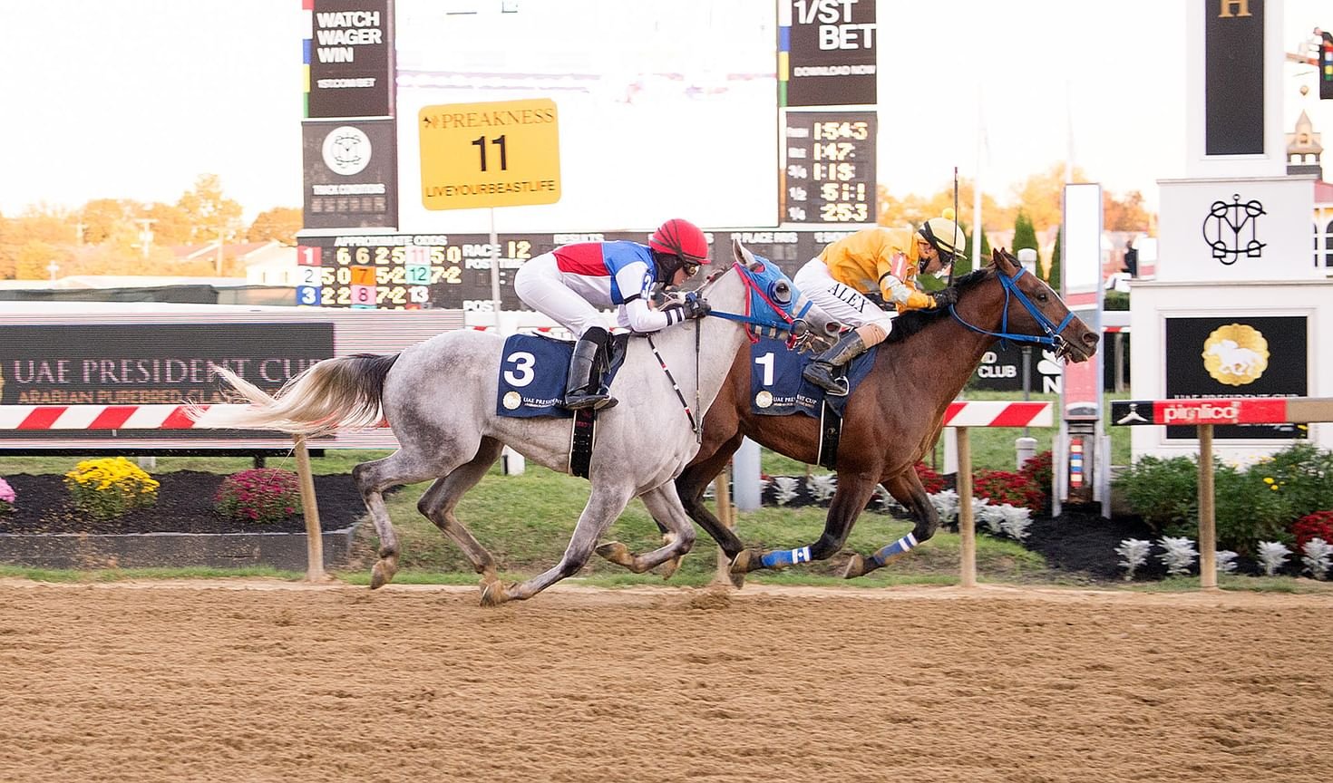 نخبة الخيول تتنافس غدا على لقب كأس رئيس الدولة في "بريكنس ستيكس" بأمريكا 1 نخبة الخيول تتنافس غدا على لقب كأس رئيس الدولة في "بريكنس ستيكس" بأمريكا