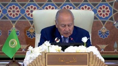 قمة بغداد : أبوالغيط يحذر من سياسة اسرائيل المتهورة بفلسطين وسوريا ولبنان