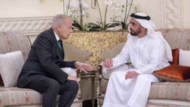 سيف بن زايد يلتقي الأمين العام لجامعة الدول العربية