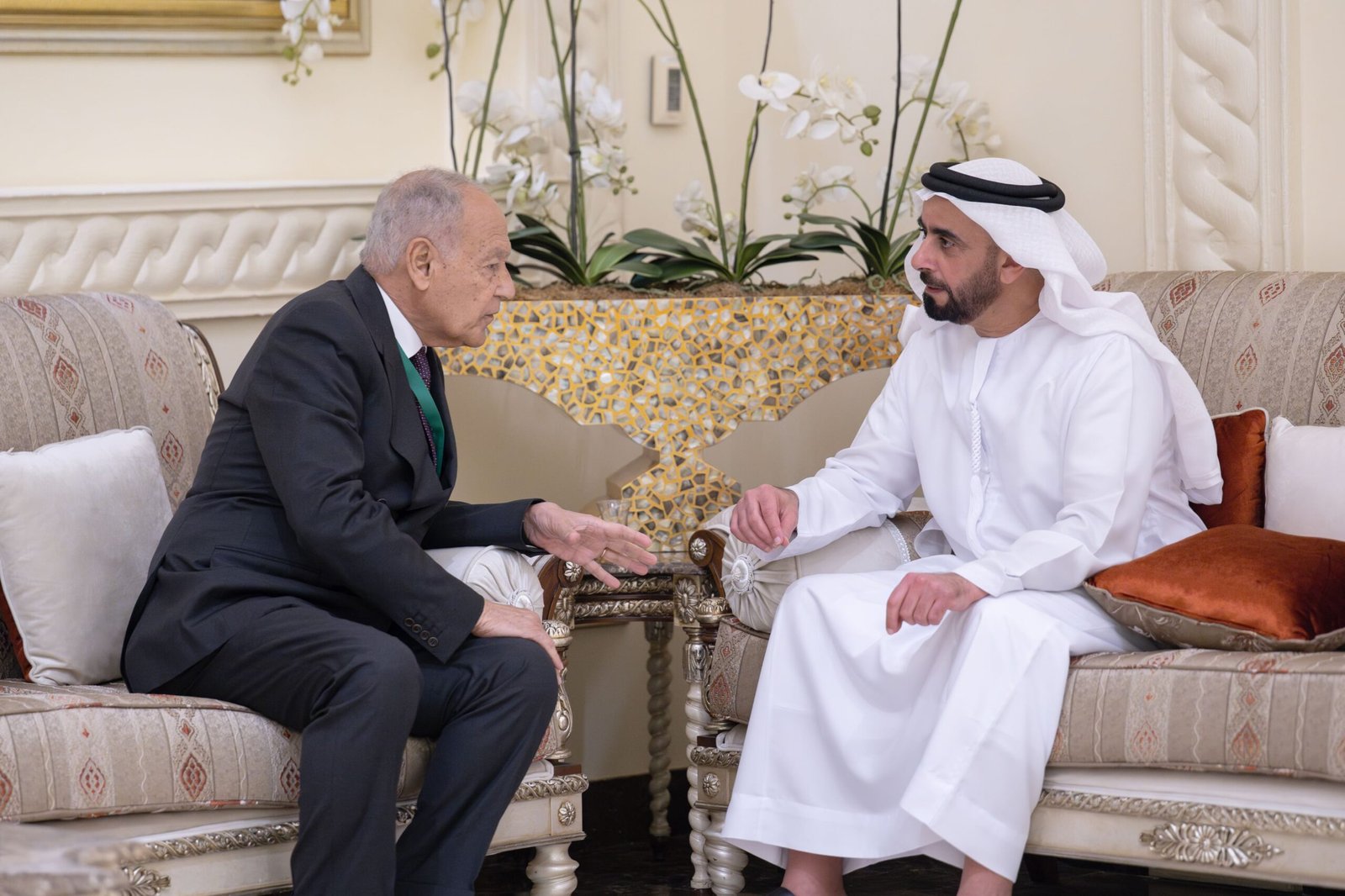 سيف بن زايد يلتقي الأمين العام لجامعة الدول العربية