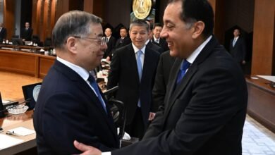 مصر تعلن عن زيارة مرتقبة للرئيس الصيني للقاهرة